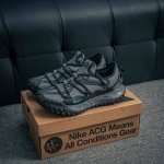 Core Private Nike Acg Mountain Fly Low Gtx Se Nike Low-Top Canyon Purple Functio