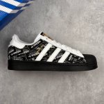 Local Core Private Company-Level Adidas Originals Superstar Shell Toe Series Low