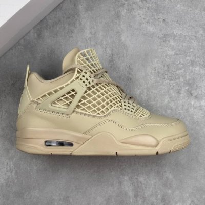 Local Core Private Company-Level Nike Air Jordan 4 Net Nike Michael Jordan Aj4 G