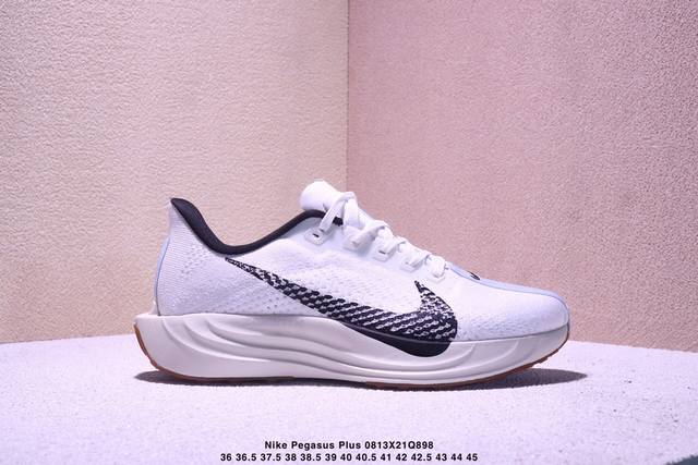 Corporate-level Nike Air Zoom Pegasus Plus Nike Pegasus Enhanced Edition Series
