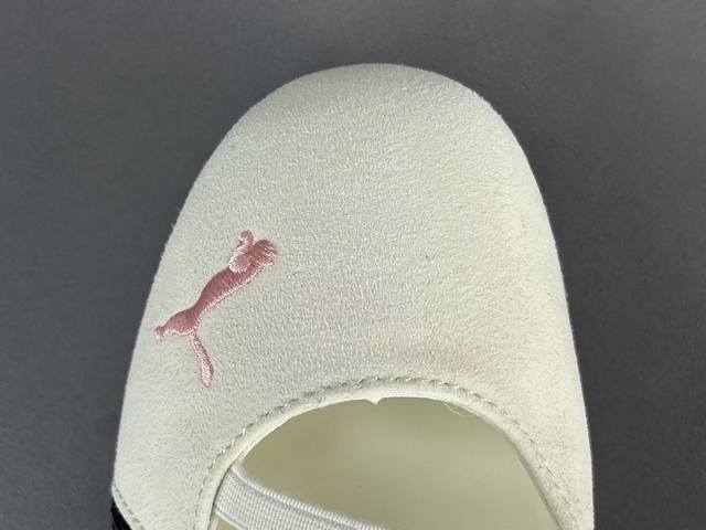 Channel Advantage! G Version Puma Ros