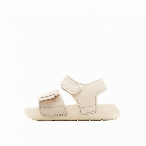 The Shoe Upper Is Designed With A Simple Color Scheme, Creating A Clean And Slee